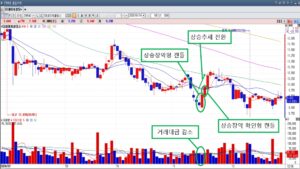 상승장악형 캔들 등장 후 상승장악 확인형 캔들 확인 차트2(더네이처홀딩스)
