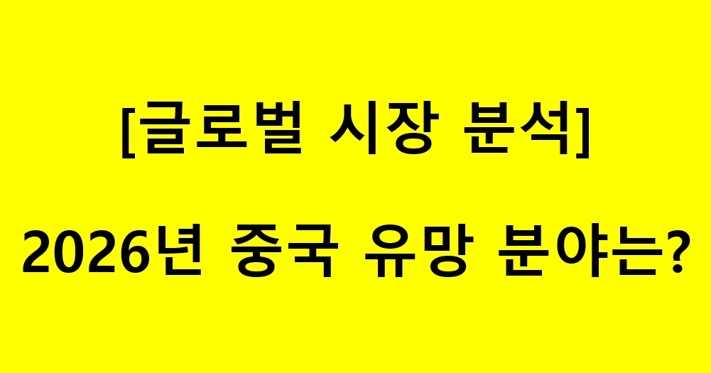 2026년 중국 투자 유망 분야는?