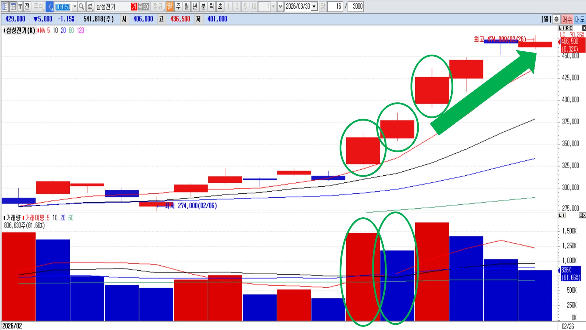 장대양봉 두개 등장 다음날 양봉 후 상승 실제 사례 – 삼성전기 일봉 (2026. 2. 19)